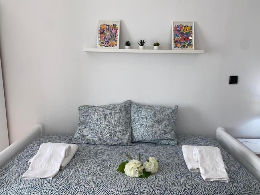 Apartamento Soltova Casar de Cáceres Exterior photo